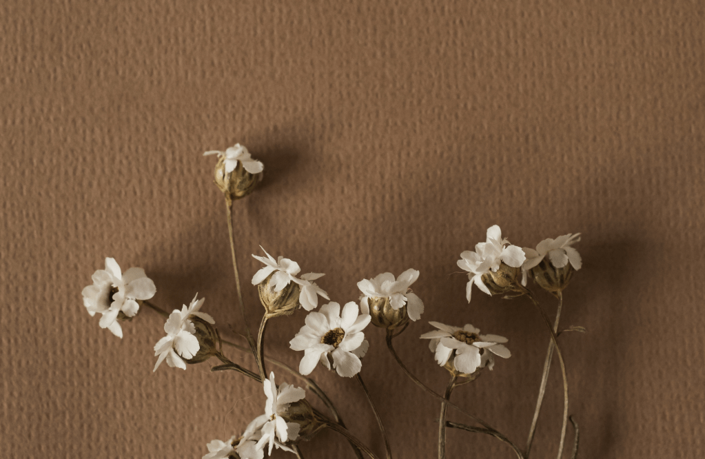 From People Pleaser to Self-Lover: My Journey to&nbsp;Authenticity