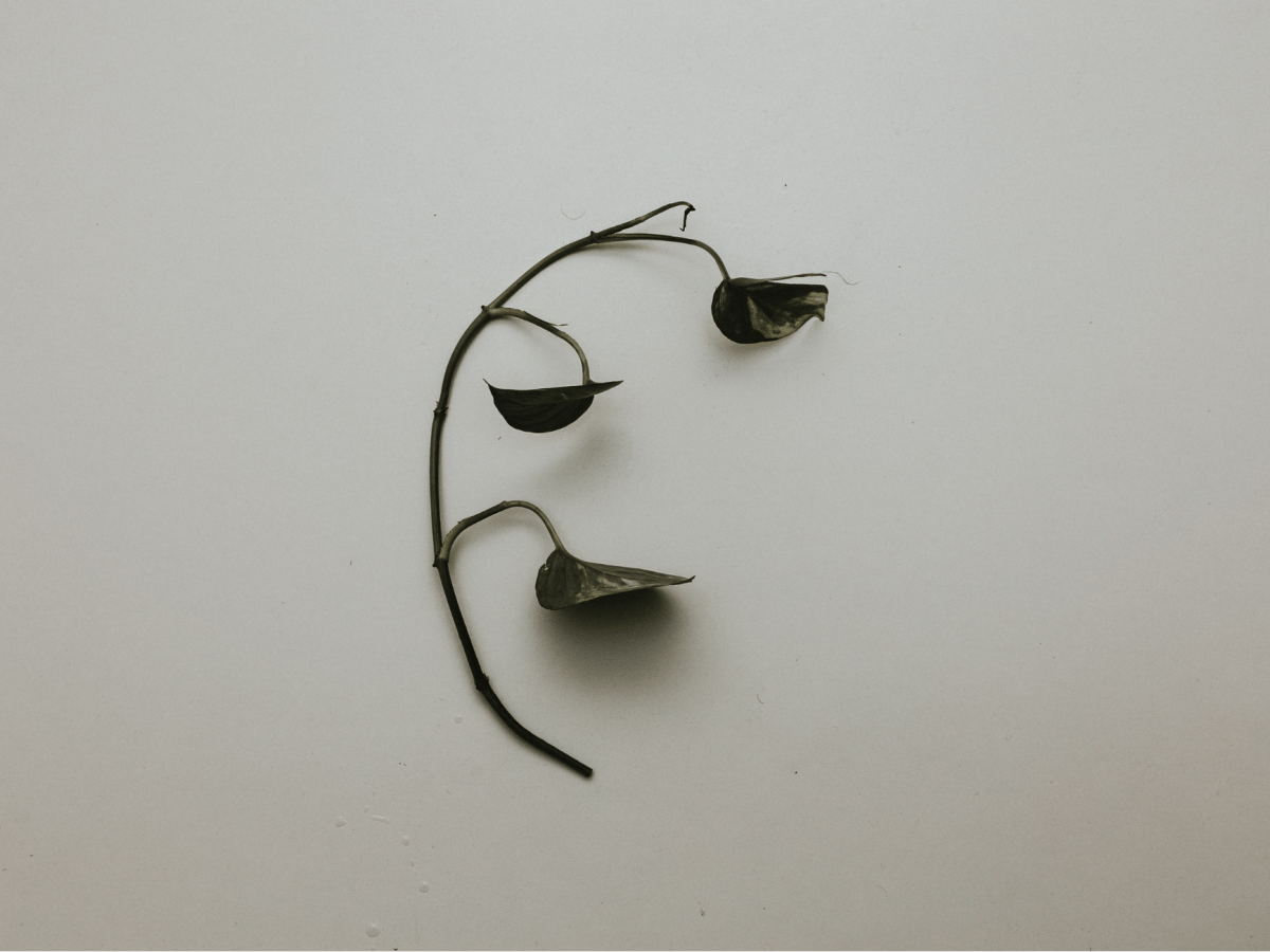 How I Navigated Toxic Relationships: 7 Tips for Handling Negative Energy on your Spiritual&nbsp;Path