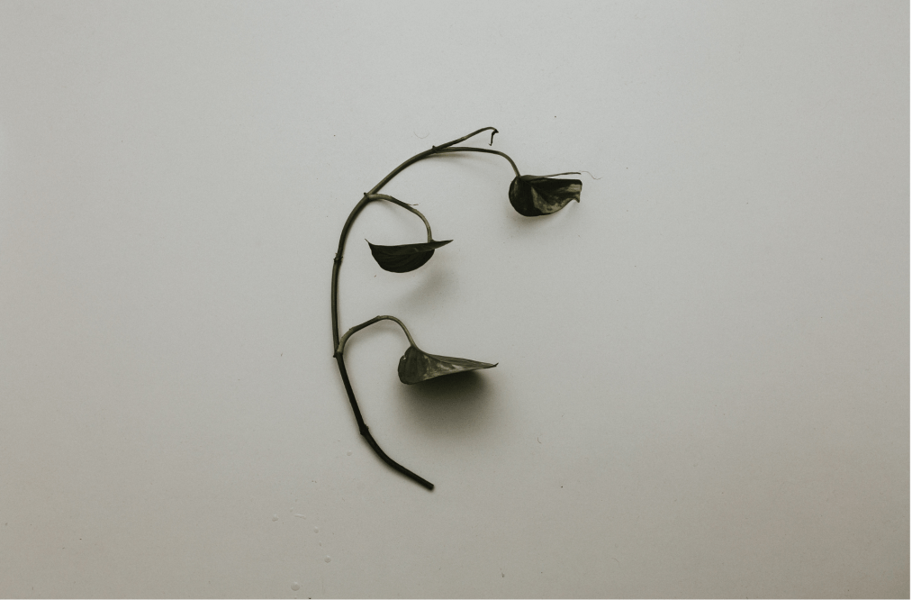 How I Navigated Toxic Relationships: 7 Tips for Handling Negative Energy on your Spiritual&nbsp;Path