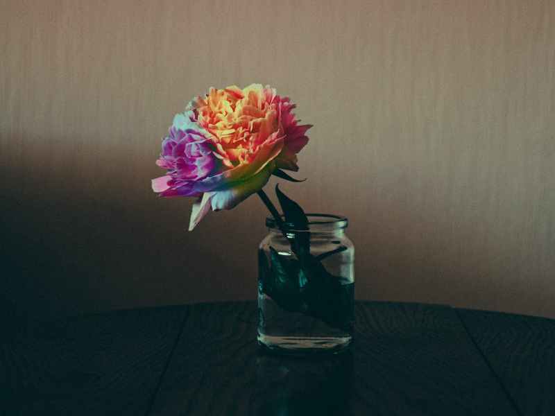 The Spectrum of Consciousness: How Different Levels of Consciousness Affect Our Relationships & the&nbsp;World