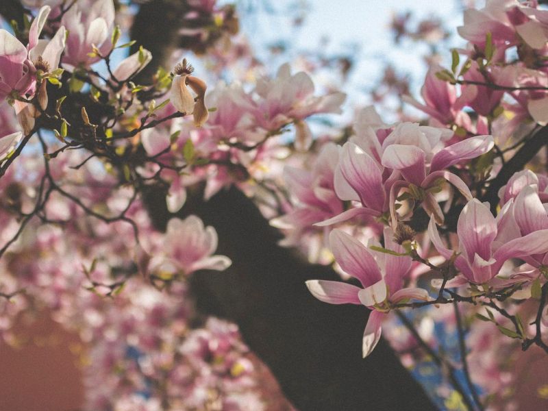 Spirituality is Just as Important as Each Breath I&nbsp;Take