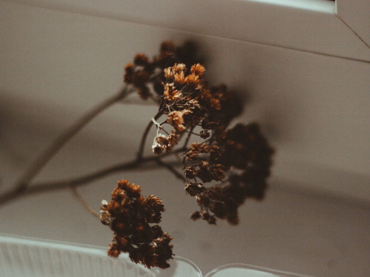 Beyond my Black Skin: How the Question “Who Are You?” Changed my Life&nbsp;Forever