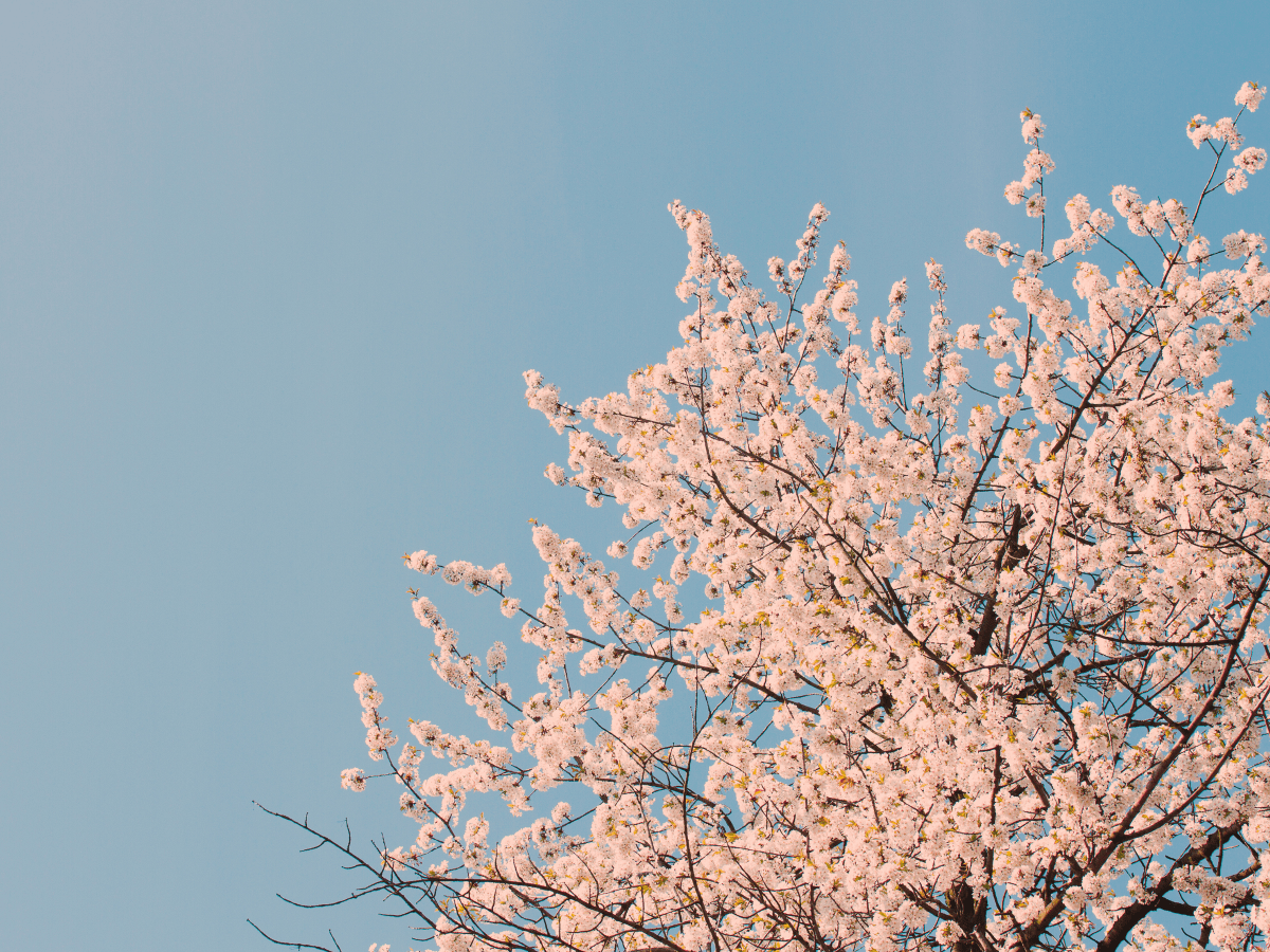 How Ego Deaths Rewrote the Script of my&nbsp;Life