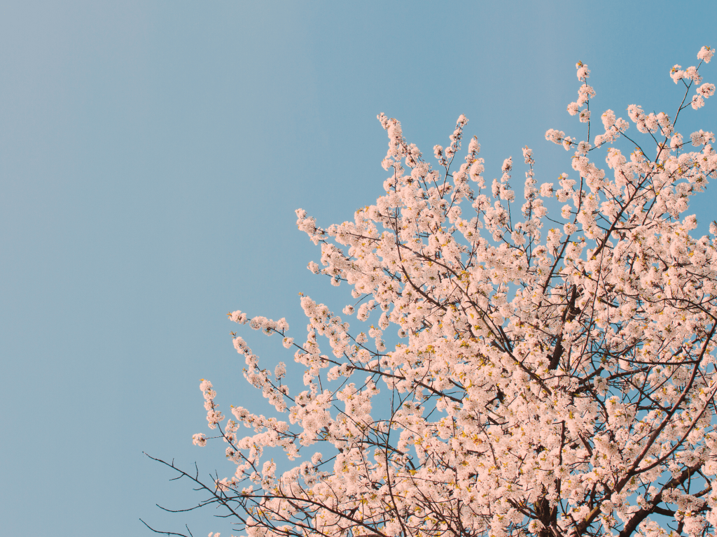 How Ego Deaths Rewrote the Script of my&nbsp;Life